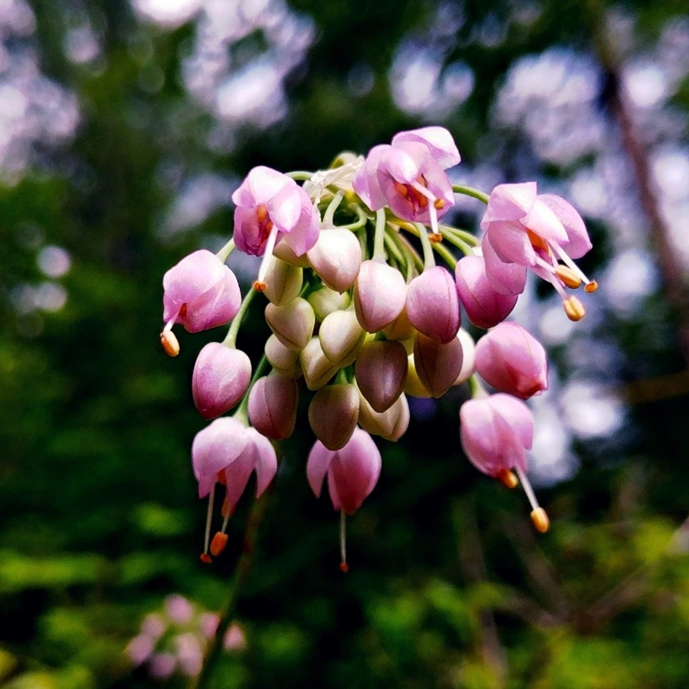 Meet your Posher, Jen